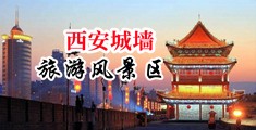 大鸡巴操骚逼中国陕西-西安城墙旅游风景区